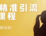 soul精准引流系列课程，每天引流100精准粉-乌龙学社