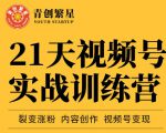 张萌21天视频号实战训练营，裂变涨粉、内容创作、视频号变现 价值298元-乌龙学社