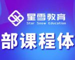 星雪教育淘系高级班，更全的运营提升方案，零基础由浅入深，店铺最新玩法-乌龙学社
