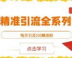 闲鱼精准引流全系列课程，每天引流100精准粉【视频课程】-乌龙学社