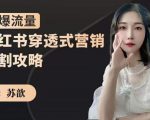 苏歆：小红书穿透式营销收割攻略，引爆流量，助你玩转小红书-乌龙学社