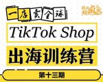 TikTokShop出海训练营(第十三期),打开全球流量新思维,出海抢占全球新流量,一店卖全球-乌龙学社