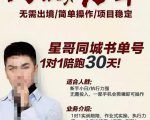 星哥同城教育书单号课程，无需出境简单操作项目稳定-乌龙学社