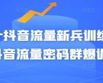 Peter抖音流量新兵训练营-破解抖音流量密码群爆训练营（新兵）-乌龙学社