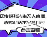 聚亿传媒张先生无人直播，教程素材话术全套打包-乌龙学社