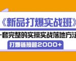 凌童《新品打爆实战班》,一套完整的实操实战落地方法，打爆链接超2000+（28节课)-乌龙学社