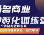 杨名商业IP孵化训练营，从商业到内容到转化一站式学 价值5980元-乌龙学社