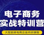 民赛电气内部出品：电子商务实战特训营，全方位带你入门电商，308种方式玩转电商-乌龙学社