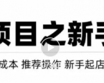 虚拟项目快速起店模式，0成本打造月入几万虚拟店铺！-乌龙学社