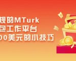 利用正规的MTurk微型众包工作平台,月赚1100美元的小技巧-乌龙学社