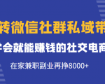 玩转微信社群私域带货，学会就能赚钱的社交电商，在家兼职副业再挣8000+-乌龙学社