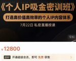 个人IP吸金密训班，打造高价值高效率的个人IP内容体系（价值12800元）-乌龙学社