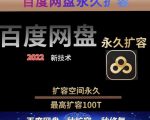 百度网盘无限扩容技术，外面卖399的，无论自己用还是用做引流都可以-乌龙学社