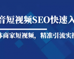 抖音短视频Seo搜索排名优化新手快速入门教程，实体商家短视频，精准引流实操课-乌龙学社