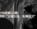 新媒体IP内训营(12期)，一套全新的“公域引流，私域成交”IP打法，直接带走-乌龙学社