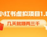 《小红书虚拟项目1.0》账号注册+养号+视频制作+引流+变现，几天就赚两三千-乌龙学社