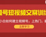 视频号短视频文案训练营：0基础小白如何建立视频号，上热门，能卖货！-乌龙学社