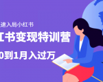 小红书变现特训营：带你快速入局小红书，从0到1月入过万-乌龙学社