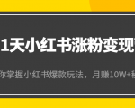 21天小红书涨粉变现营（第4期）：带你掌握小红书爆款玩法，月赚10W+秘密-乌龙学社