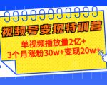 21天视频号变现特训营：单视频播放量2亿+3个月涨粉30w+变现20w+（第14期）-乌龙学社