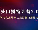 镜头口播特训营2.0版，学习文案编导以及拍摄口播能力（50节课时）-乌龙学社