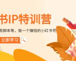 小红书IP特训营：从搭建-制作-爆款脚本等等，做一个赚钱的小红书号-乌龙学社
