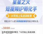 瑶瑶·自然流短视频IP孵化第二期，14天线上实战训练营，赋能100个人成为有数据能赚钱的独立IP孵化手-乌龙学社