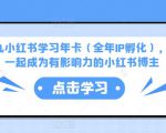 厦九九小红书学习年卡（全年IP孵化），沉浸式学习，一起成为有影响力的小红书博主-乌龙学社