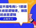 大圣淘宝天猫电商1-7层级盈利增长底层逻辑课,爆款的底层逻辑-乌龙学社