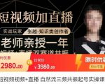张越·短视频+直播，自然流三频共振起号实操课，​短视频所有流量玩法讲解-乌龙学社