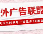 外面收费1980的最新国外LEAD广告联盟搬砖项目，单号一天至少30美金【详细玩法教程】-乌龙学社