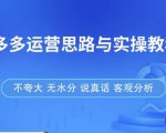 拼多多店铺运营思路与实操教程，快速学会拼多多开店和运营，少踩坑，多盈利-乌龙学社