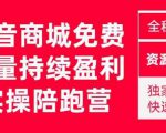 抖音商城搜索持续盈利陪跑成长营，抖音商城搜索从0-1、从1到10的全面解决方案-乌龙学社