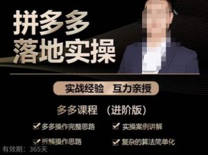 拼多多实战篇·落地实操：多多操作完整思路+实操案例讲解+拆解操作思路+复杂的算法简单化-乌龙学社