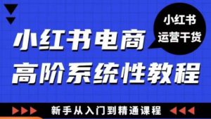 小红书电商高阶系统教程，新手从入门到精通系统课-乌龙学社