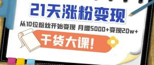 21天精准涨粉变现干货大课：从10位粉丝开始变现月增5000+变现20w+-乌龙学社
