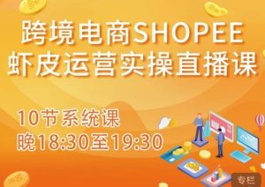 跨境电商Shopee虾皮运营实操直播课，从零开始学，入门到精通（10节系统课）-乌龙学社