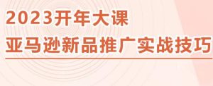 2023亚马逊新品推广实战技巧，线下百万美金课程的精简版，简单粗暴可复制，实操性强的推广手段-乌龙学社