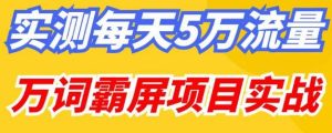 百度万词霸屏实操项目引流课，30天霸屏10万关键词-乌龙学社