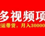 多多带货视频快速50爆款拿带货资格，搬运带货，月入30000【全套脚本+详细玩法】-乌龙学社