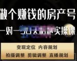 刘广标·同城房产号线上陪跑课，拍摄、剪辑、写文案、直播，做一个具有潜力价值的房产号-乌龙学社