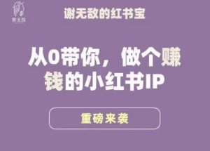 谢无敌·小红书运营大宝典,从0带你做个赚钱的小红书IP-乌龙学社