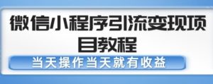 微信小程序引流变现项目教程,当天操作当天就有收益,变现不再是难事-乌龙学社
