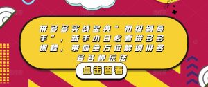 拼多多实战宝典“初级到高手”，新手小白必看拼多多课程，带你全方位解读拼多多各种玩法-乌龙学社