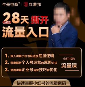 牛哥电商红薯邦28天撕开小红书流量入口,小红书运营系列课,快速掌握小红书的流量密码-乌龙学社