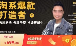 锋投老叶全店动销，淘系干货汇总，各种玩法，淘系爆款打造者-乌龙学社