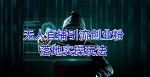 外面收费3980的无人直播引流创业粉落地实操玩法，单日引100+精准创业粉-乌龙学社