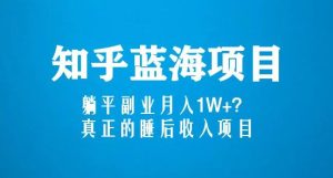 知乎蓝海玩法，躺平副业月入1W+，真正的睡后收入项目（6节视频课）-乌龙学社