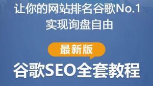 谷歌SEO实战教程：如何让你的网站在谷歌排名第一，内容从入门到高阶，适合个人及团队-乌龙学社
