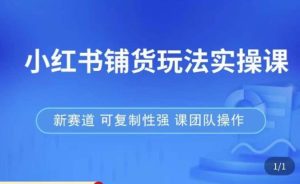 小红书铺货玩法实操课,流量大,竞争小,非常好做,新赛道,可复制性强,可团队操作-乌龙学社